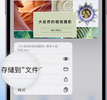 英吉沙apple维修中心分享iPhone文件应用中存储和找到下载文件