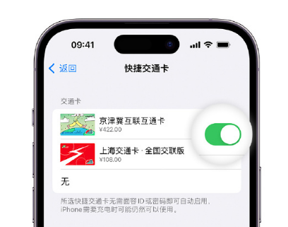 英吉沙apple维修点分享iPhone上更换Apple Pay快捷交通卡手绘卡面 