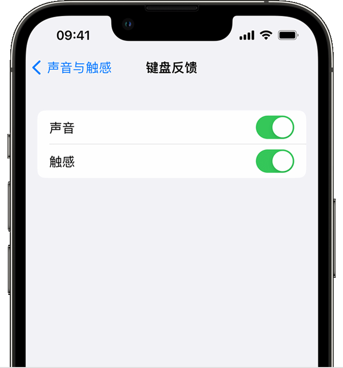 英吉沙苹果14维修店分享如何在 iPhone 14 机型中使用触感键盘 