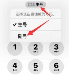 英吉沙苹果14维修店分享iPhone 14 Pro Max使用副卡打电话的方法 