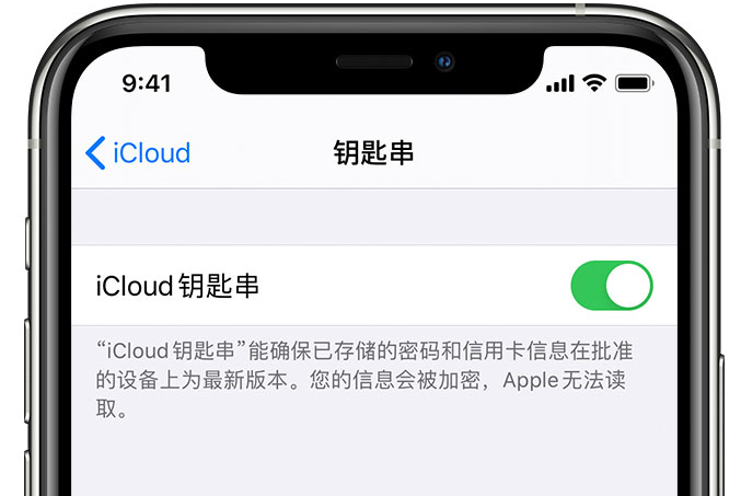 英吉沙苹果手机维修分享在 iPhone 上开启 iCloud 钥匙串之后会储存哪些信息 