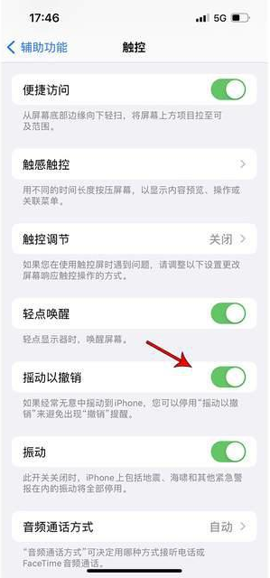 英吉沙苹果手机维修分享iPhone手机如何设置摇一摇删除文字 